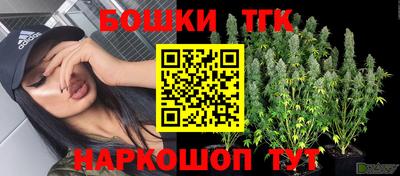 соль ск Будённовск