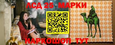соль ск Будённовск
