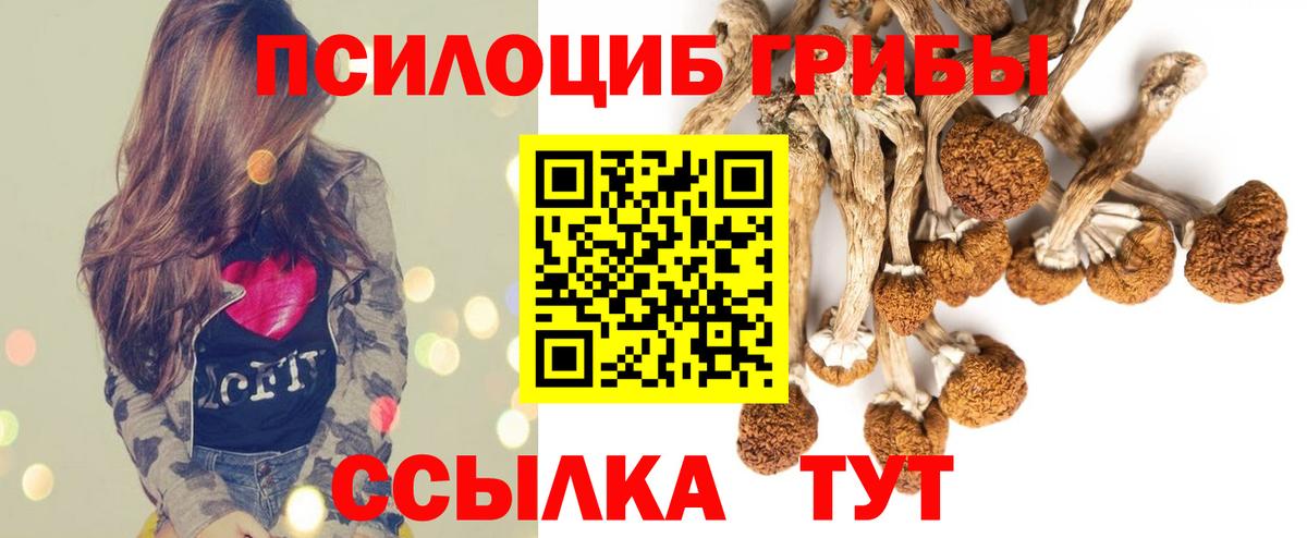 Мелеуз  Галлюциногенные грибы Psilocybe  где купить наркоту  Вход с VPN 